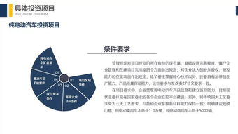 解讀《汽車產(chǎn)業(yè)投資管理規(guī)定》 聚焦新能源汽車與“樁醫(yī)生”的投資咨詢機(jī)遇
